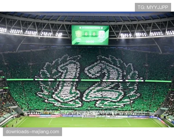 特写瞬间:沙尔克南看台球迷在保级关键战展示巨幅TIFO